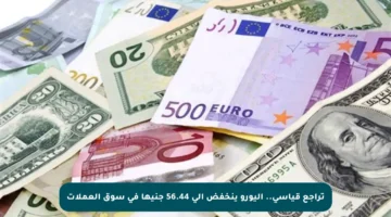 تراجع قياسي.. اليورو ينخفض إلى 56.44 جنيها في سوق العملات